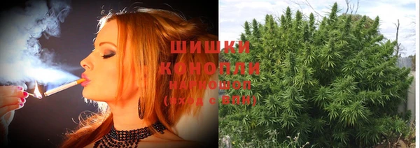шишки Алзамай